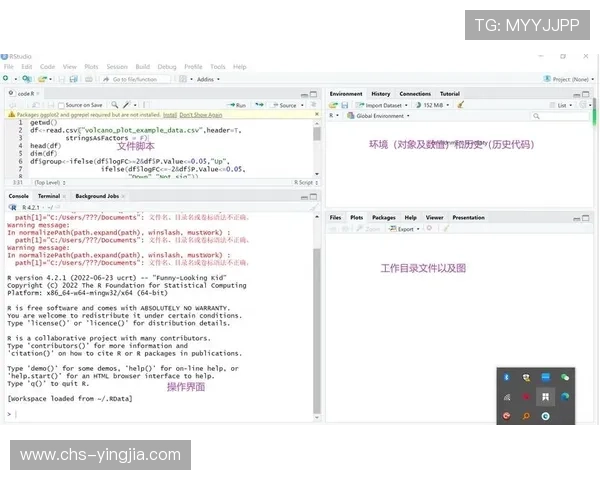 江南体育(JNSPORTS)网页版界面布局与用户操作流程解析